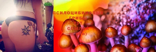 дживик Нея