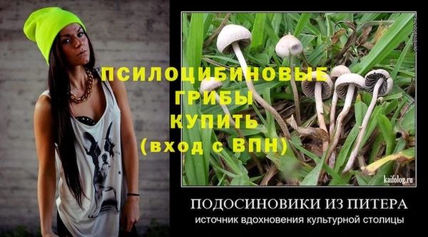 амф Нефтекумск